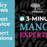 3 Minute Mango Expertise with Nissa