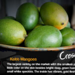 Off-Shore (& California) Starts Now!