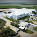 Peruvian Mango Season Begins