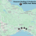 2026 Mexican Crop Talk