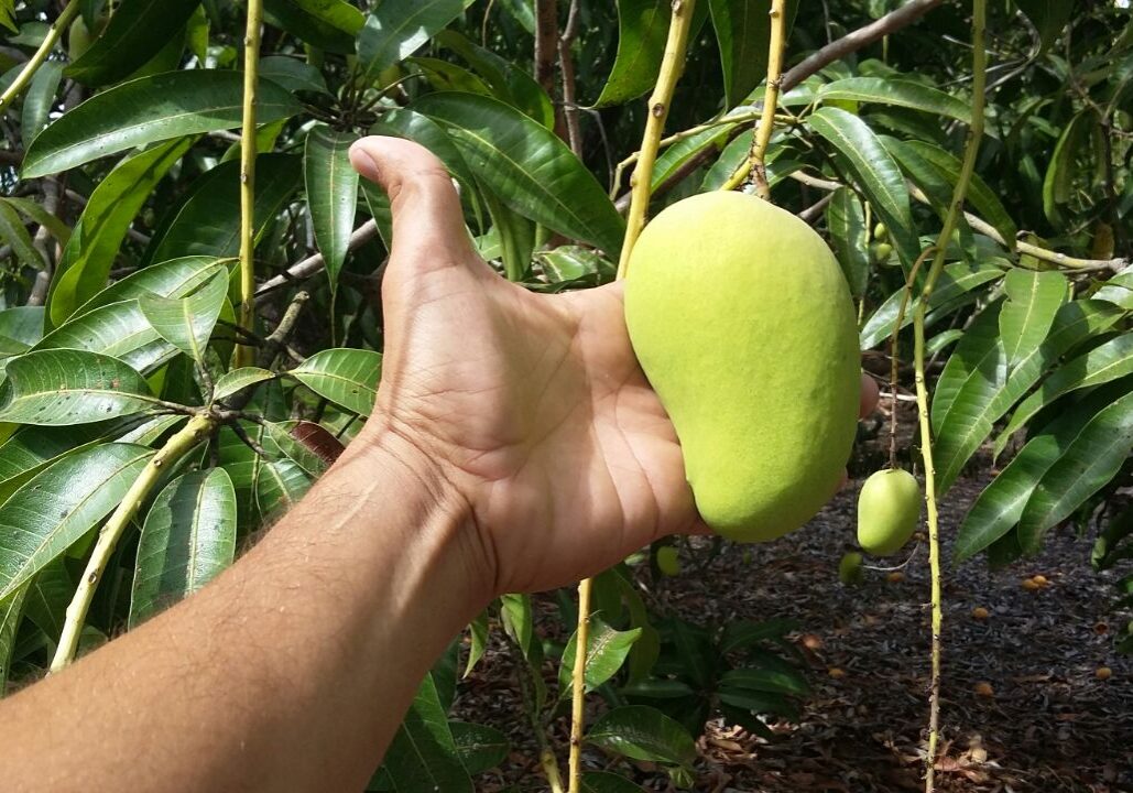 3c7ec8091c86f2252e3603979f889d6b