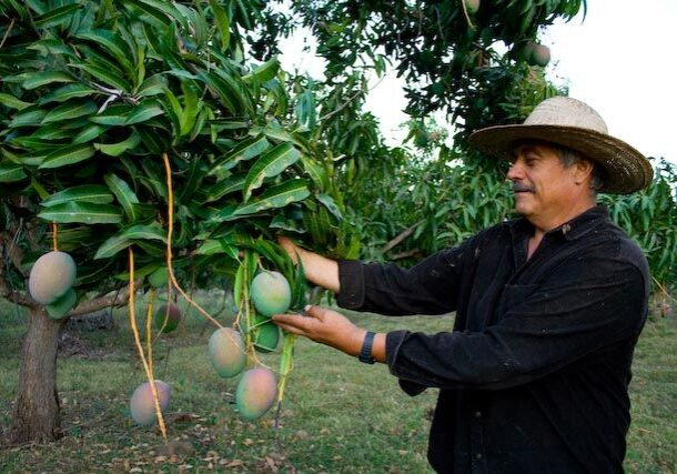 4784558477_208abe965a_o