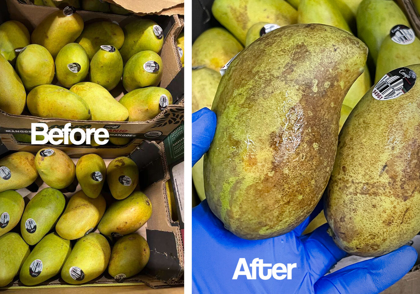 BEfore & After