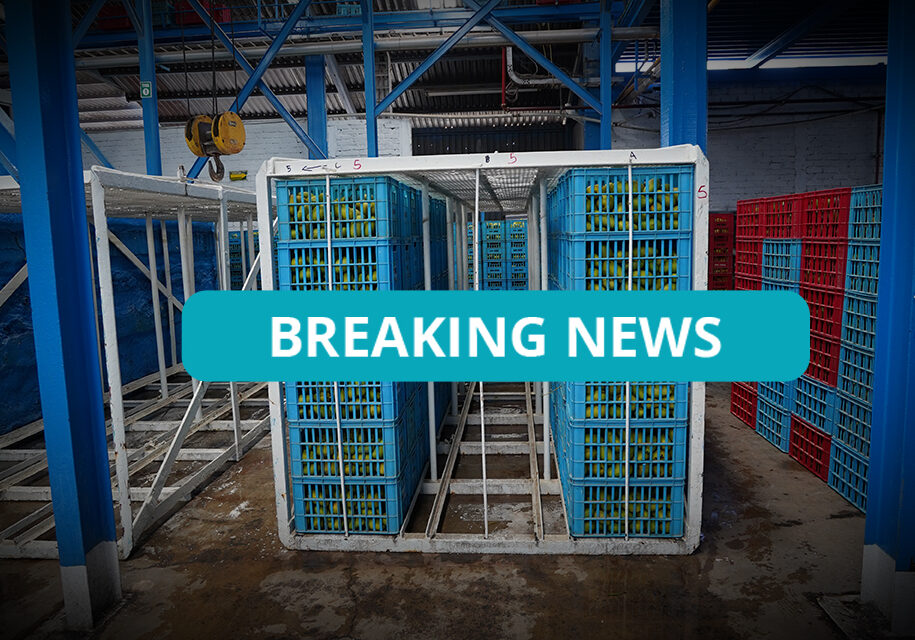 DSC00543edj hot water bath cage being loaded copy