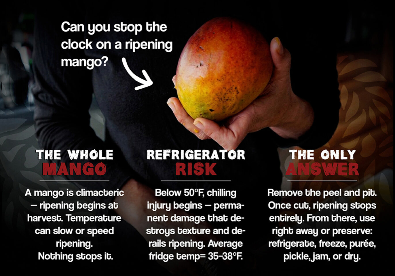 Stop the Clock copy