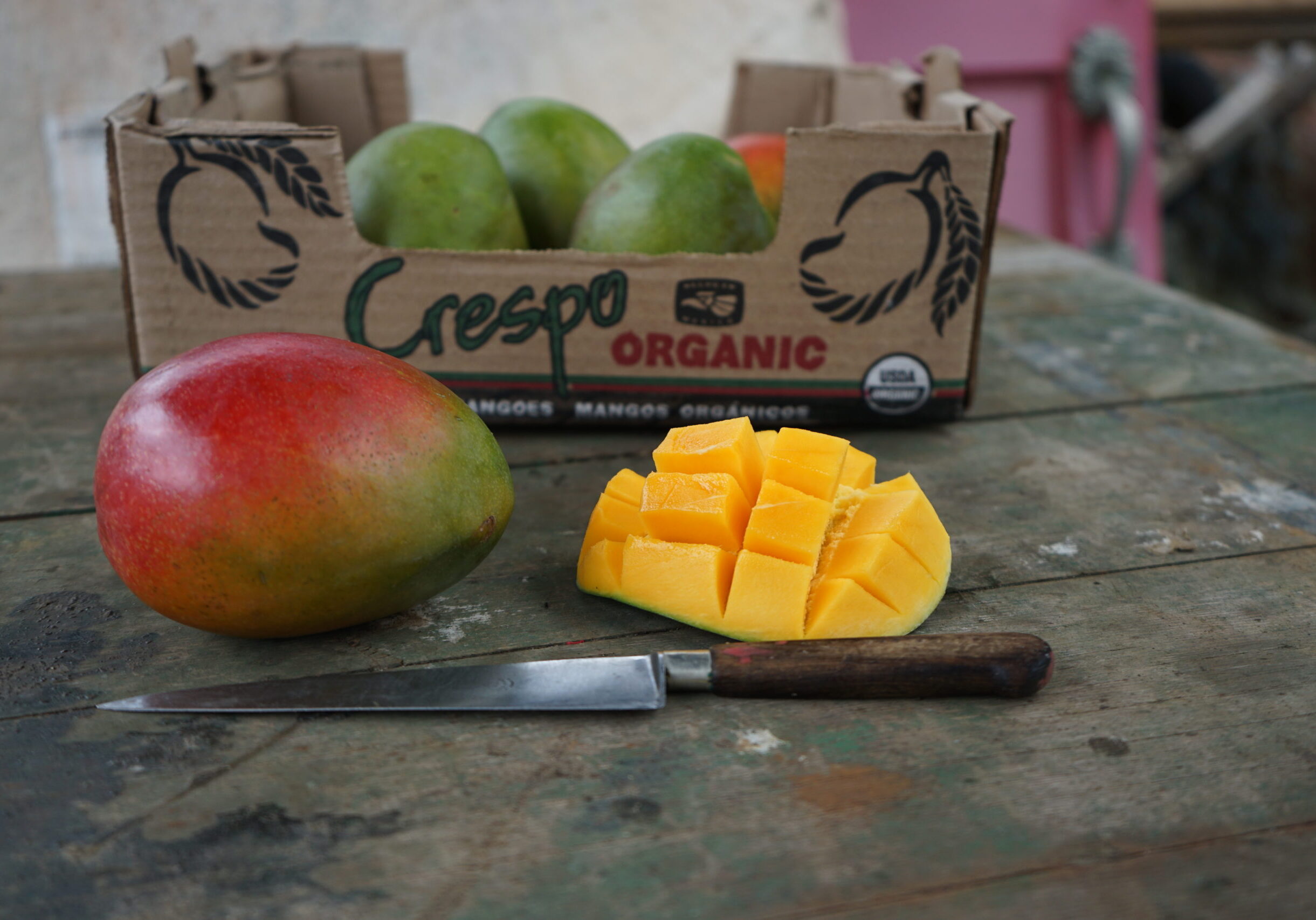 kent crespo mangoes and box and hedgehog