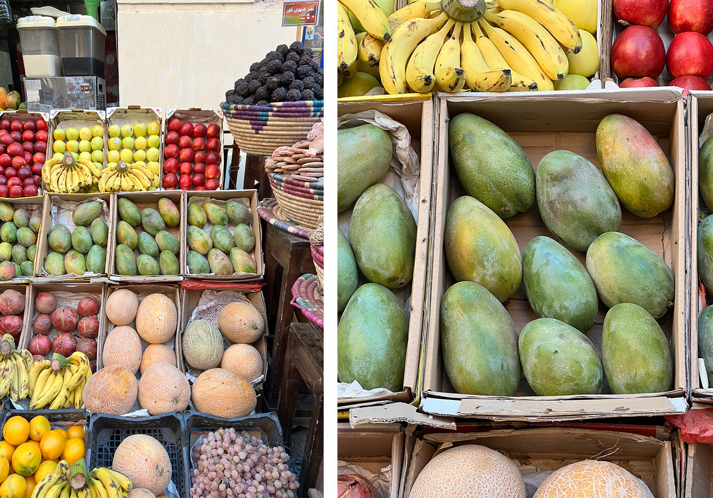mangoes egypt copy